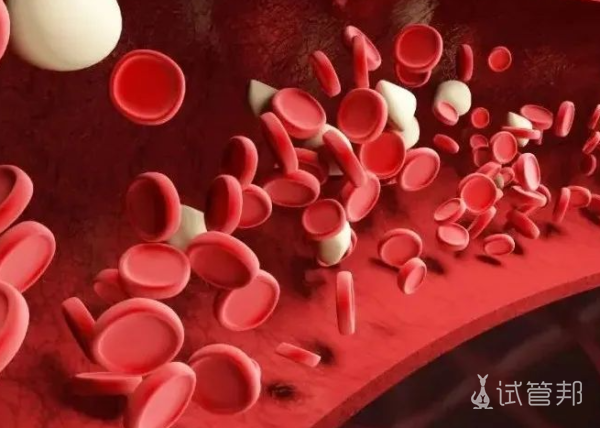 5beedb7a67f3a4d374c33c2a74918dc1.png 异常血红蛋白病怎么治疗