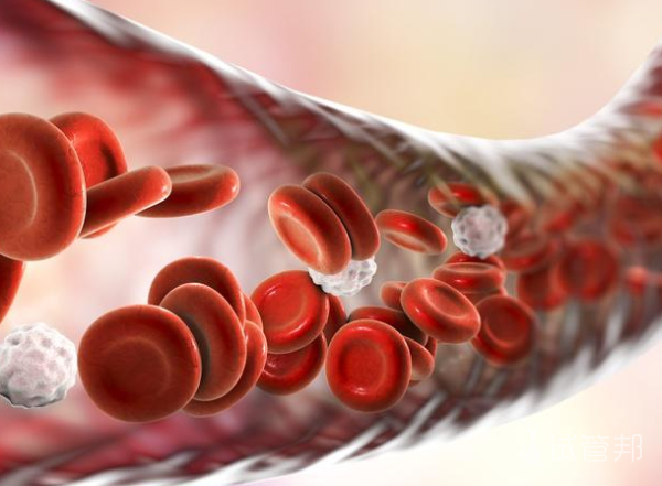 ba0cf7a76eeaa0c13952ca6e1e12746d.png 血红蛋白偏高怎样降下来