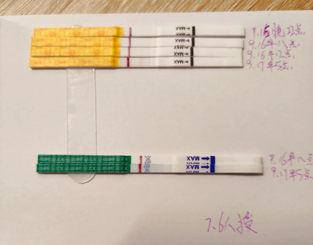 9.6人授初战告捷我的备孕奇迹来啦