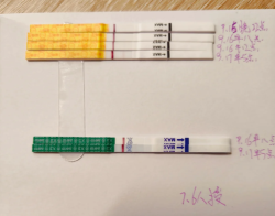 9.6人授初战告捷，我的备孕奇迹来啦！