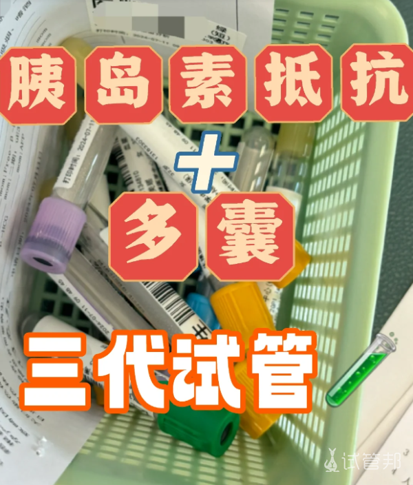 f00c75626dbaa8b3bcb7618bae572271.png 胰岛素抵抗做试管婴儿成功取卵7颗