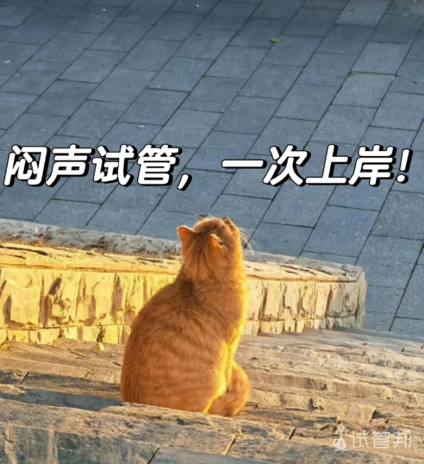 fa70d5fb8cd21388ca3f42a75f6ba329.png 闷声做试管婴儿真是个正确的决定