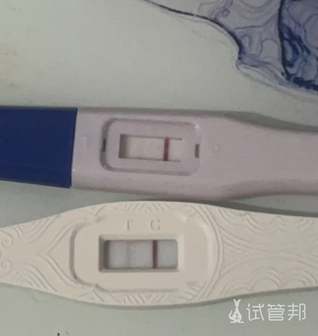 cf32e7662b748441145b8cc70e4581f9.png 4bc囊胚人工周期移植一次成功