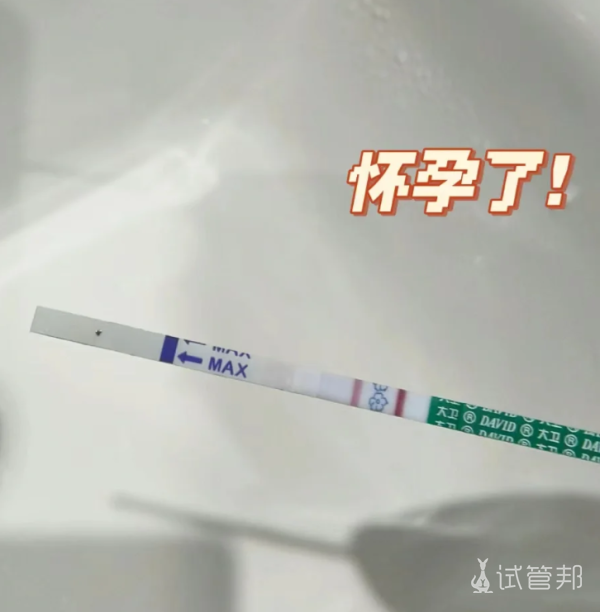 fda06ad7426275b85804b4fdfb28395f.png 做试管婴儿的一些碎碎念