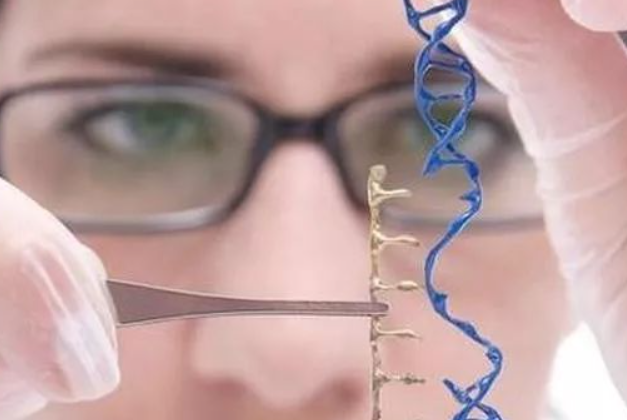 0b9914be9866b465dea78bfb06aeb4cd.png 亨廷顿病的发病机制是什么