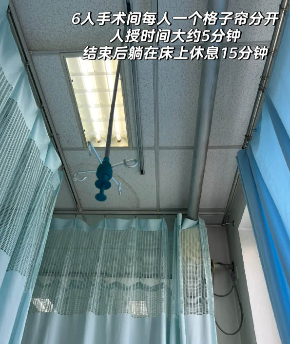 5c34d2b4494f5f3ff48b13793b9c5588.png 人授日全流程来了大家码住