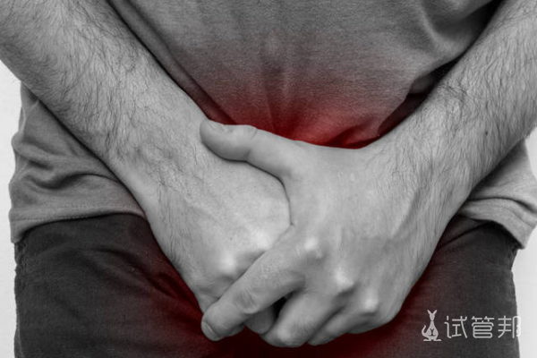 8a75ae5de927b4e186eac1a266c07dd3.png 成人睾丸鞘膜积液能不能自愈