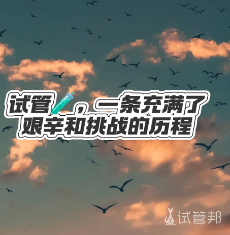 9a400538249031f11bd13cce2c997e51.png 试管婴儿就是充满艰辛和挑战的旅程