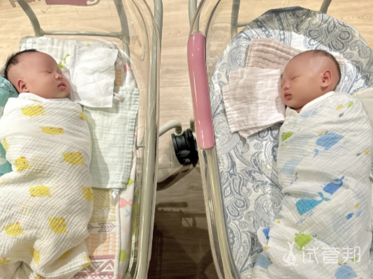 640fc20b47f4bf2a07587ac9b5656135.png 生双胞胎其中的甜蜜与辛苦只有自己知道