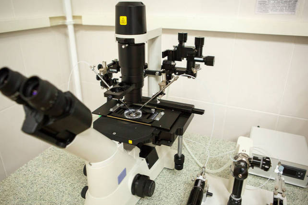 9a4ec5aa795ed51ad9e4497306d0dfed.png 三代试管会生出智障儿吗