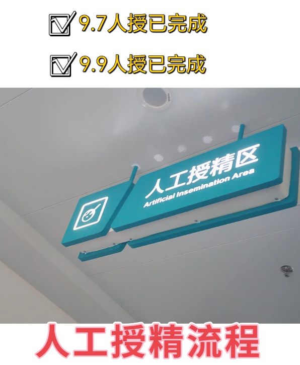 d420608a818e3b3b868fe041114e7edd.png 从检查到人工授精的全过程