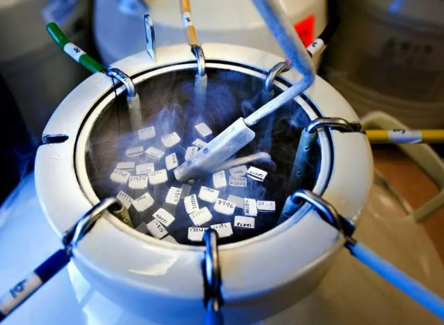 5a31366305e2310d24acde814b835175.png 供精人工授精的流程及费用