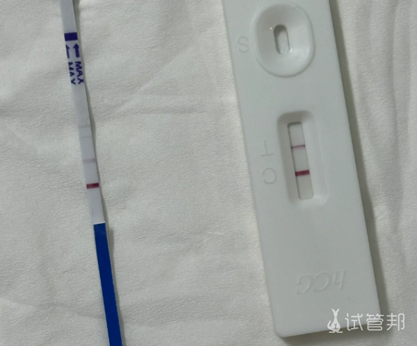 6fbfe042e68e3623ad695b5c1b6fd0c0.png 试管婴儿一次成功经验之谈希望大家都能好孕
