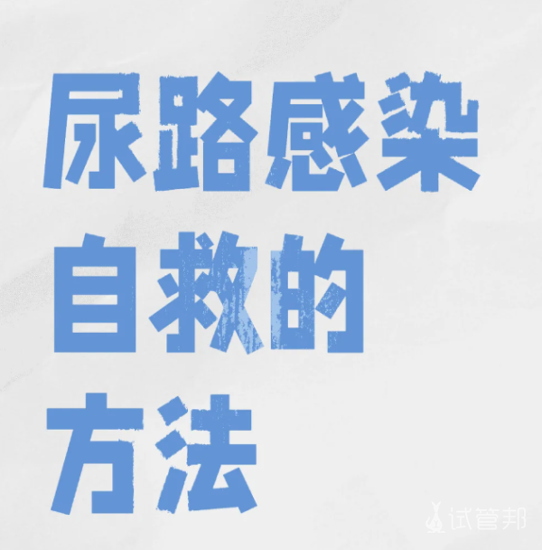50b332246fe1e10001349ce9005624bf.png 重度尿道炎逆袭记