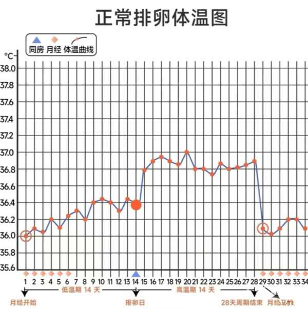 6cea44b9c883487bb4a0956e67846ff8.png 0成本在家测排卵基础体温法大揭秘