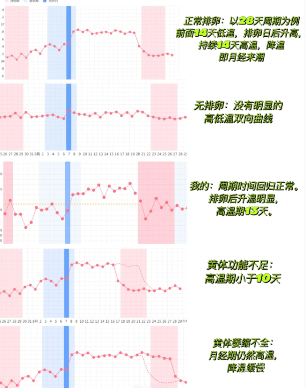 9bfe840d542956e8245ddc292b5b77a1.png 0成本测排卵秘籍一次就中亲测有效