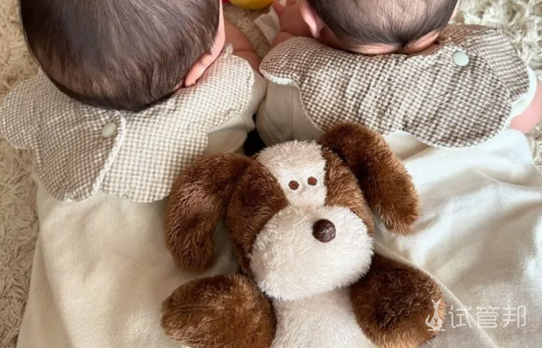 b3225daf02ddfb963151890f8b6fcaeb.png 生下双胞胎兄弟是什么体验