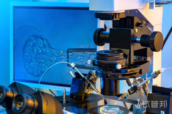 a7094f19986cbc8157d1e2d9937a3f45.png 美国第三代试管婴儿需要满足什么条件