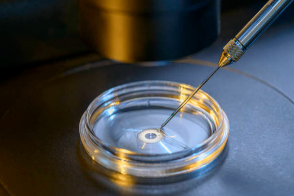 d9731e9cdad397ee7b12a43b61163163.png 美国第三代试管婴儿能选择性别吗