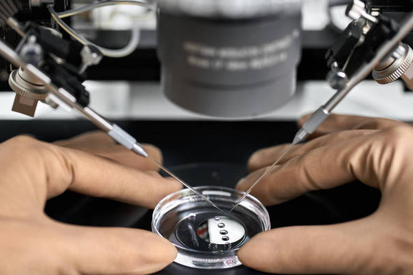 16d461e4fb060cf652de7a7910560c0a.png 试管婴儿为什么要冷冻胚胎