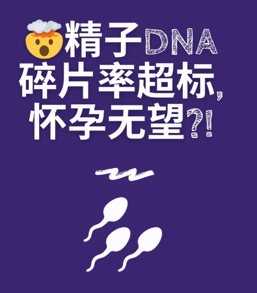 一怀就掉建议查精子碎片率