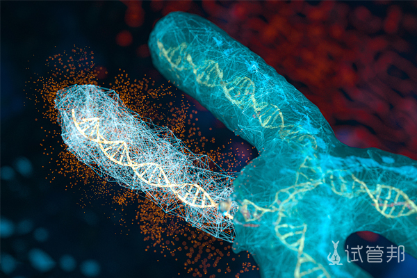 29fb49767db7537706041ceec3b1e120.jpg 染色体检查需要多久