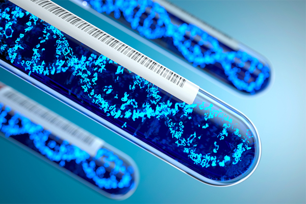 3737787d05d0d394fab990b7444a313c.jpg 染色体检查能看出是男孩女孩吗