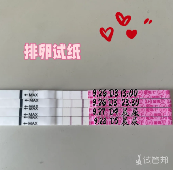 49afd3c290acdde9a5bd22a4e480b0aa.png 危险期是月经后第几天