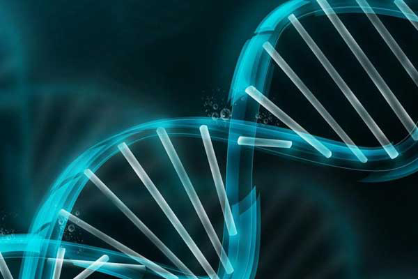 67fd658eaf947b5f8cdec33850d42e50.jpg 染色体检查属于哪个科