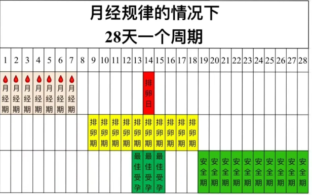 危险期是什么时候