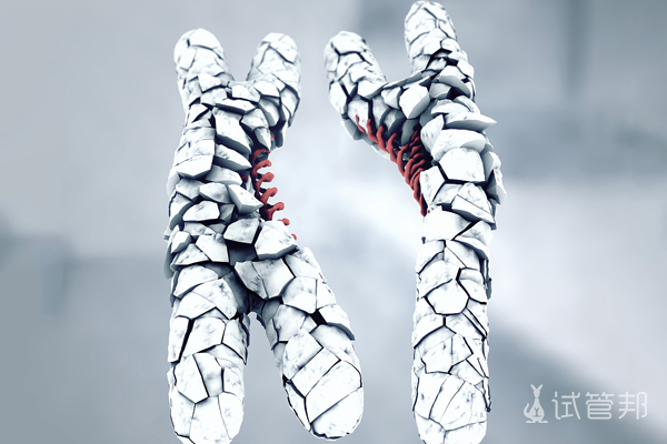 032bede8ab218994fe7c76ec9817a654.jpg 染色体检查多久有效期