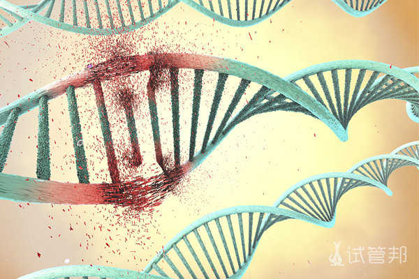 416612b942fd31d8a905ad37889eaf91.jpg 染色体检查多久可以拿结果