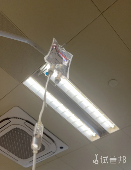 811405ea6c177efbfe2cbbe8a85bb0ab.png 无麻取卵是什么感受