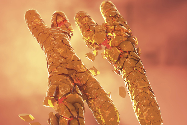 8361118b36c87865d0cef789cf6707bf.png 染色体检查费用多少