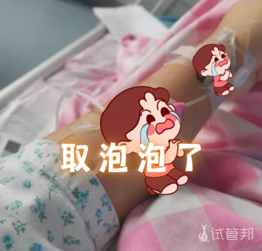 fdaecd9d3bf39f5dd47c3f73f27c5e0c.png 试管婴儿取卵结果逆袭