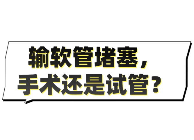 输卵管堵塞你会选择做手术还是做试管婴儿