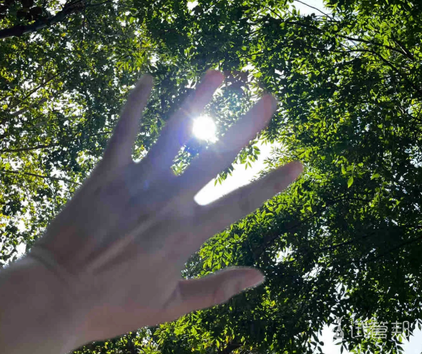 2e11585663ef576b4b1bf4464e78930a.png 改善子宫腺肌症我都做了啥