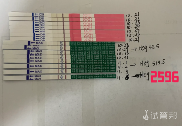 4bf103dcace874ab5bd33ec7ea74f6e7.png 人工授精一次成功翻倍结果也很好