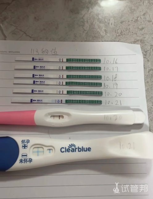 5a4ad794925a21061a9352588f1dc900.png 6取1移成功上岸试管之路走到了终点