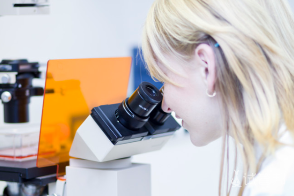 c3954277be4a20d011c8e3797566ef61.png 做试管婴儿需要多久