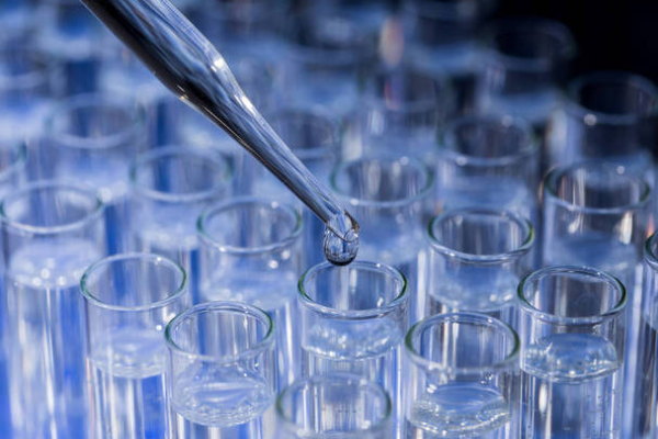 54a58fd01e9cfb9c1dcfab1fe51ce55f.png 移植后的注意事项有哪些