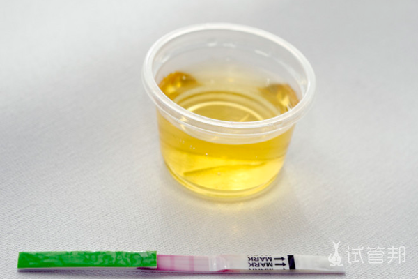 828a582719542e0d8304f0d33474a7dd.png 早早孕试纸什么时候能测出来怀孕