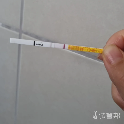 6380065c7a5193122d3155561f5c0260.png 人工授精后测试出白板但不来姨妈