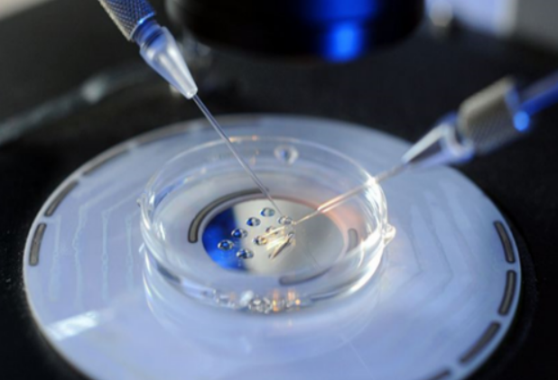 cb1ce119490f0ca8ae9f9c7465dae3b0.png 胚胎移植技术的基本步骤有哪些