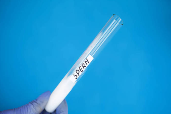 精子质量什么阶段比较好