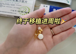 三月促排卵及取卵，四月胚胎移植，整体费用概览！