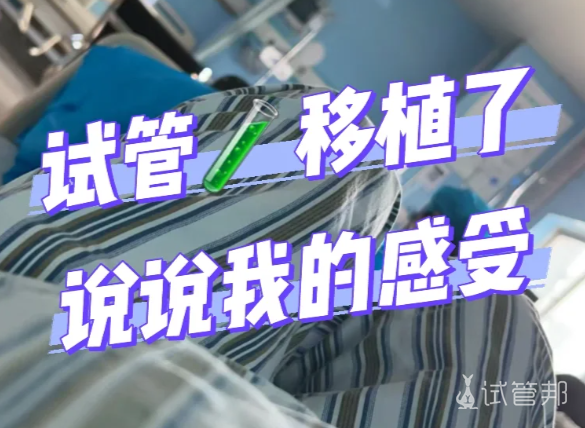 b4f02825f8e630e57df0b7ff8590820d.png 胚胎移植后能继续工作吗