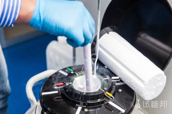 1f5b4530c6cd017ceecbaf9f0e93808e.png 胚胎移植后需要注意什么