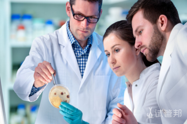 5c7e73c03b3cb05726cc5ea257147d77.png 胚胎移植后为什么要给肚子上打针