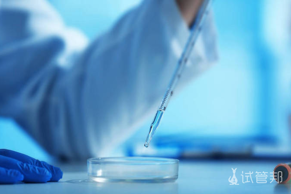 97ea1e7779b38dbcce2640a20d6b0e03.png 尿道下裂是母亲的原因吗